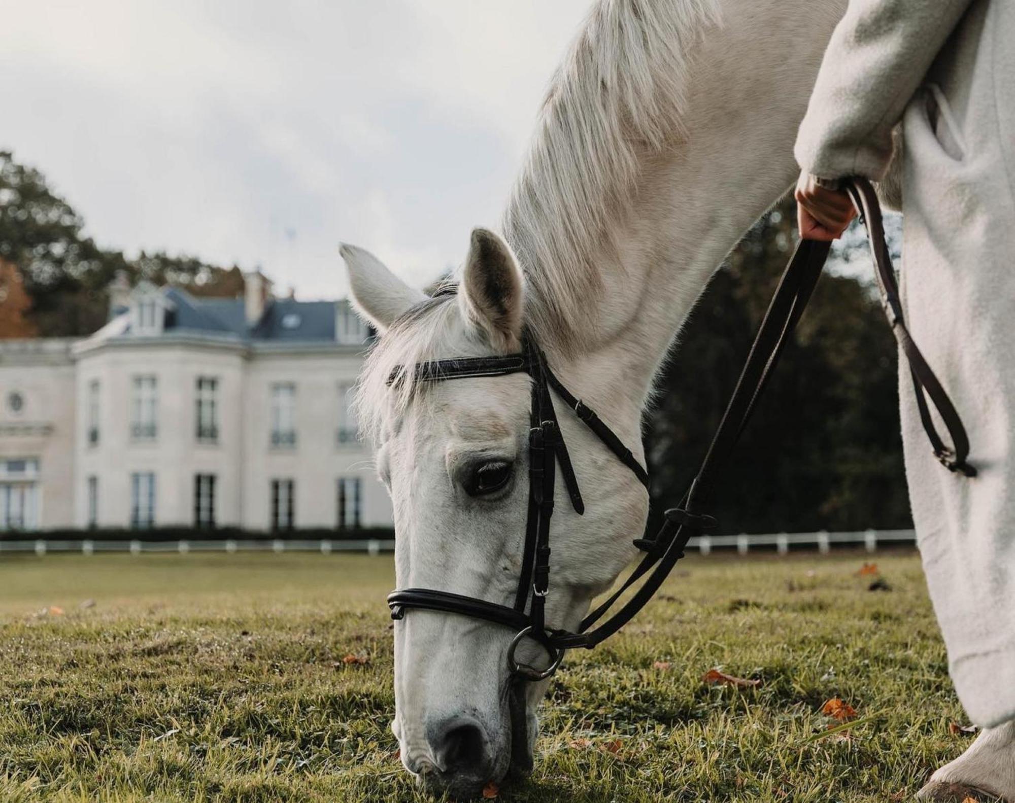 Hotel Demeures De Campagne Domaine De Maffliers - Paris Val-D'Oise Ngoại thất bức ảnh